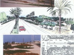 Saudi Arabia Jubail highway landscape design