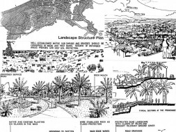 Oman capital area Landscape feasibility study for public open space sites